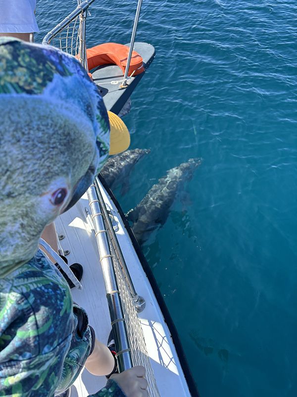 martingala-estepona-gallery010