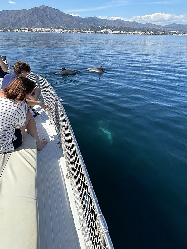 martingala-estepona-gallery07